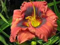IMG_tante yu_1024x768.webp