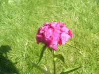 DSCF6700.webp