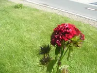 DSCF6701.webp