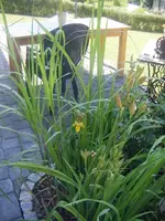 DSCF6706.webp