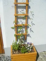 DSCF6707.webp