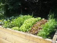DSCF6710.webp