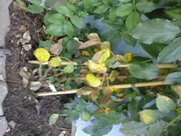 k-Fotos-0003.webp