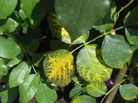k-Fotos-0026.webp