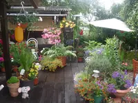02.07.2010 001.webp