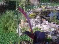 02.07.2010 012.webp