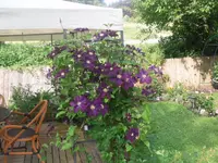 02.07.2010 014.webp