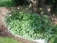 02.07.2010 036.webp