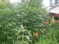 02.07.2010 056.webp