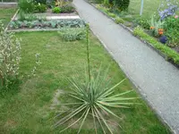 IMG_1762.webp
