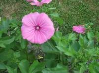 IMG_1764.webp