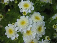IMG_1767.webp