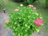 IMG_1771.webp