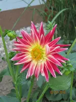 Bild 144.webp