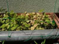 000_0045.webp