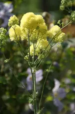 DSC03288.webp