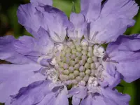 P1020616.webp