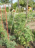 Garten 009.webp