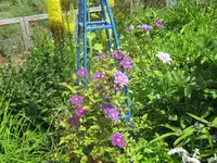 064.webp