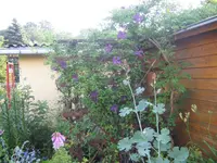 022.webp