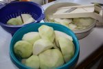 Kohlrabi.JPG