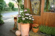 Hortensie (2).webp