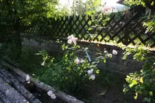 Parkrose (3).webp