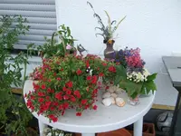 blumenmixtisch.webp