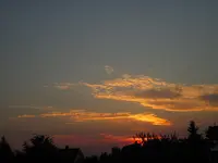 IMG_1780.webp