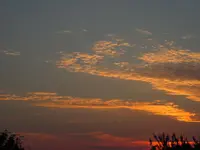 IMG_1786.webp