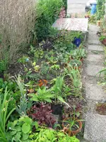 IMG_6838_788x1050.webp
