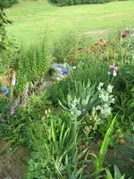 IMG_6842_788x1050.webp