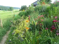 IMG_6843_1400x1050.webp