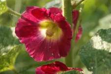 DSC03295.webp