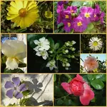 2.7.2010 v1.webp