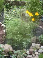 Garten 018.webp