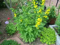 DSCF3646.webp
