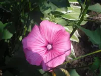 03.07.2010 002.webp