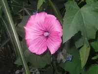 03.07.2010 003.webp