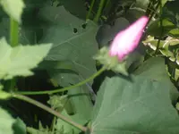 03.07.2010 005.webp