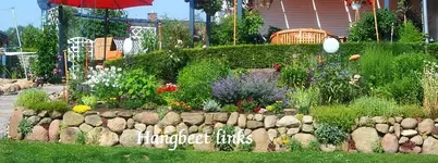 Hangbeet links.webp