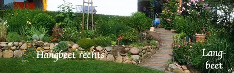 Hangbeet rechts und Langbeet.webp