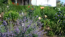 Micro-Dip Suchbild1.webp