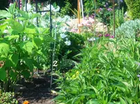Micro-Dip Suchbild3.webp