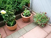 DSCF3649.webp