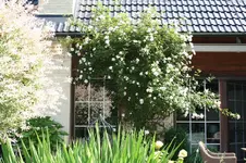 IMG_2104 - Kopie.webp