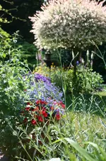 IMG_2102 - Kopie.webp