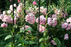IMG_2118 - Kopie.webp