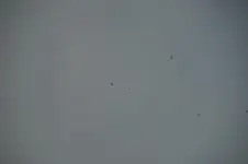 DSC03302.webp