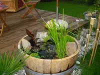 CIMG0152.webp